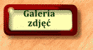 Galeria zdj