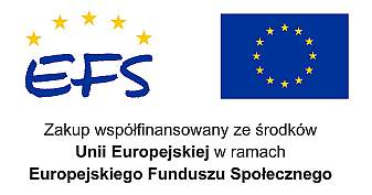 EFS