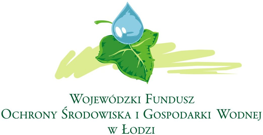 Strona Programu 